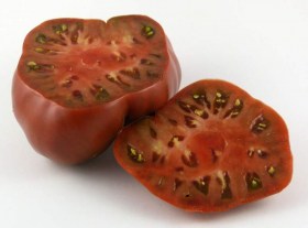 Negrillo de Almoguera paradicsom - Paradicsom különlegességek az Egzotikus Növények Stúdiója kínálatából